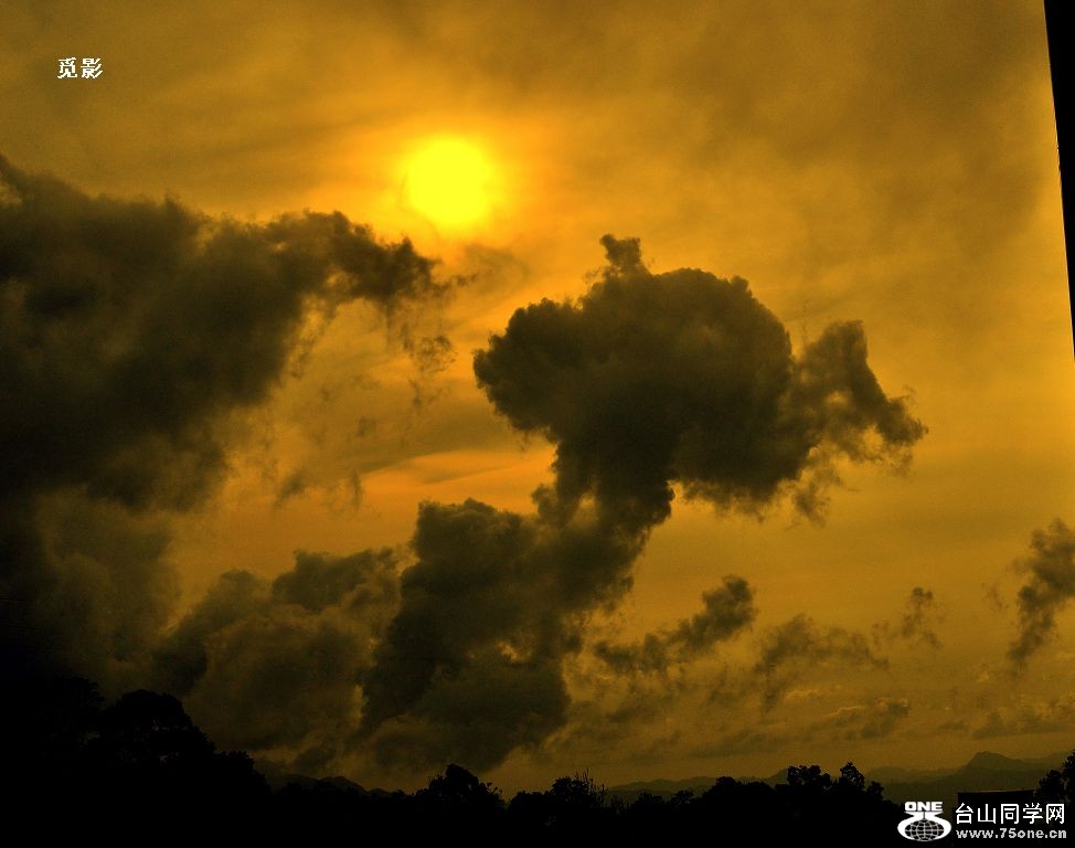 DSC_8341a.jpg