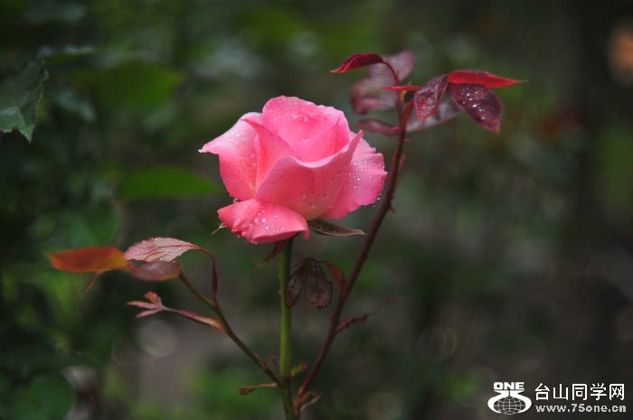 DSC_5869_.jpg