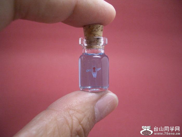 tiny_world_in_a_bottle_07.jpg