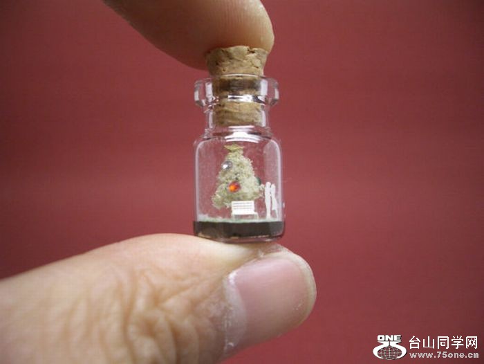 tiny_world_in_a_bottle_20.jpg