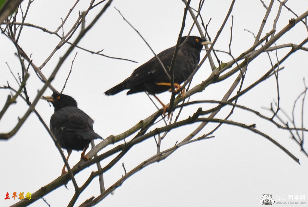 DSC_0016.JPG