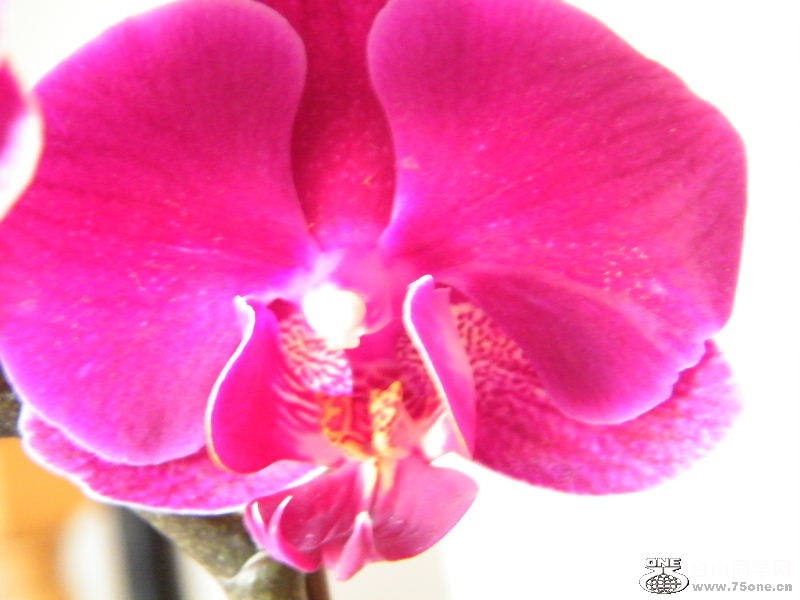 DSCF4120.JPG