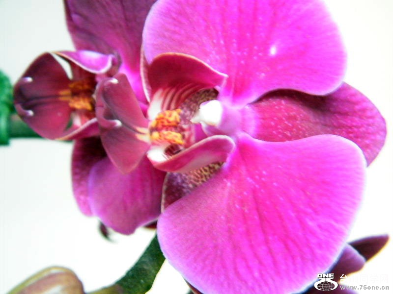 DSCF4118.JPG