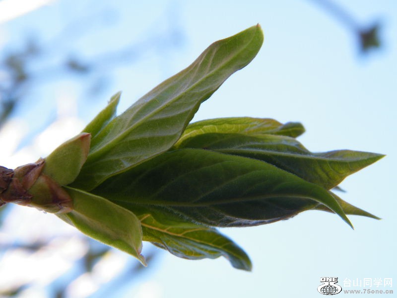 DSCF4076.JPG