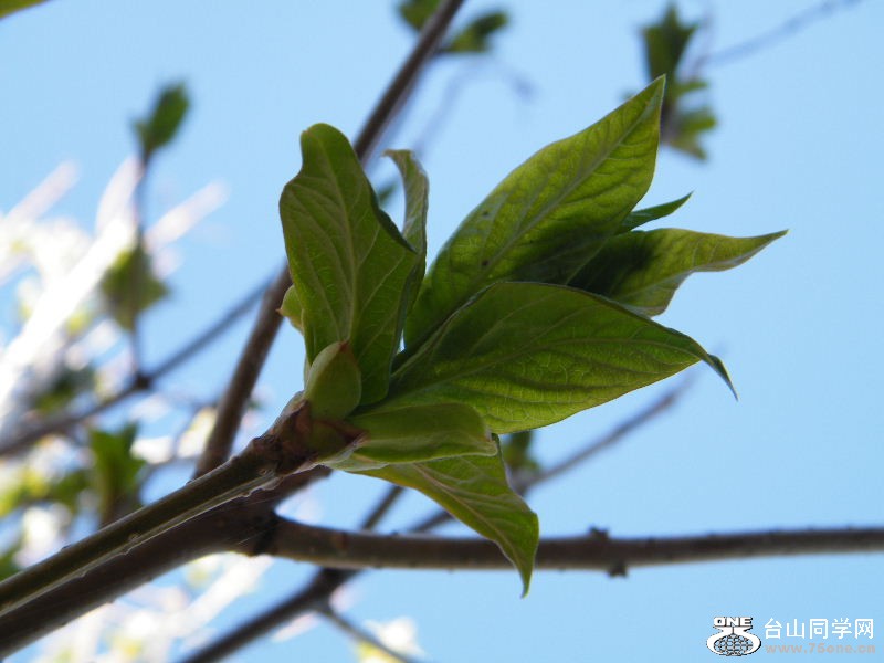 DSCF4091.JPG