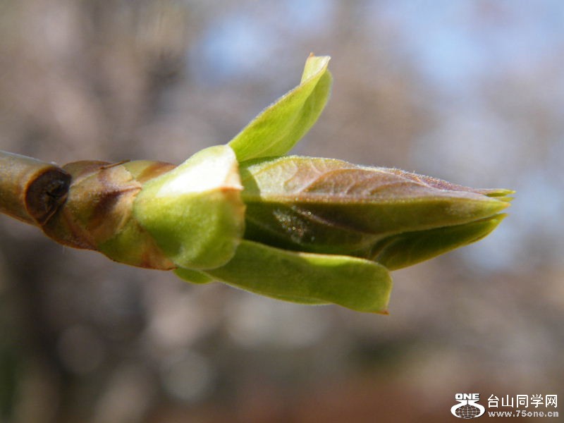 DSCF4073.JPG