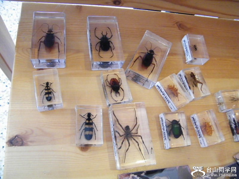 DSCF3621.JPG
