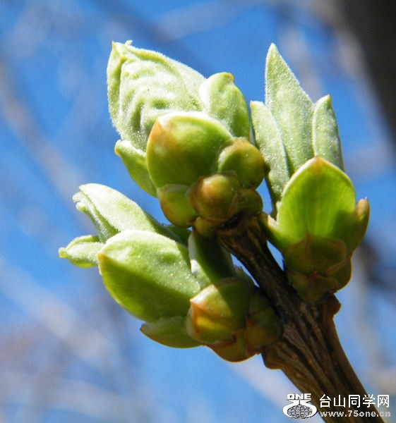 DSCF4072.JPG
