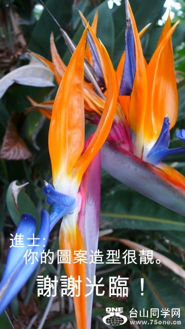 P1210675-001.JPG