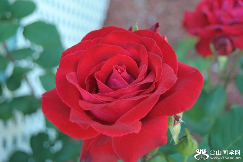 DSC_3535.JPG