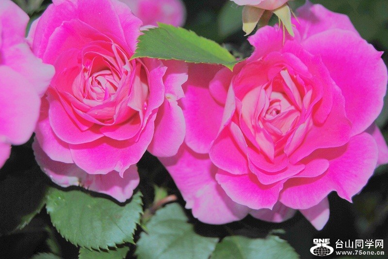DSC_3192.JPG