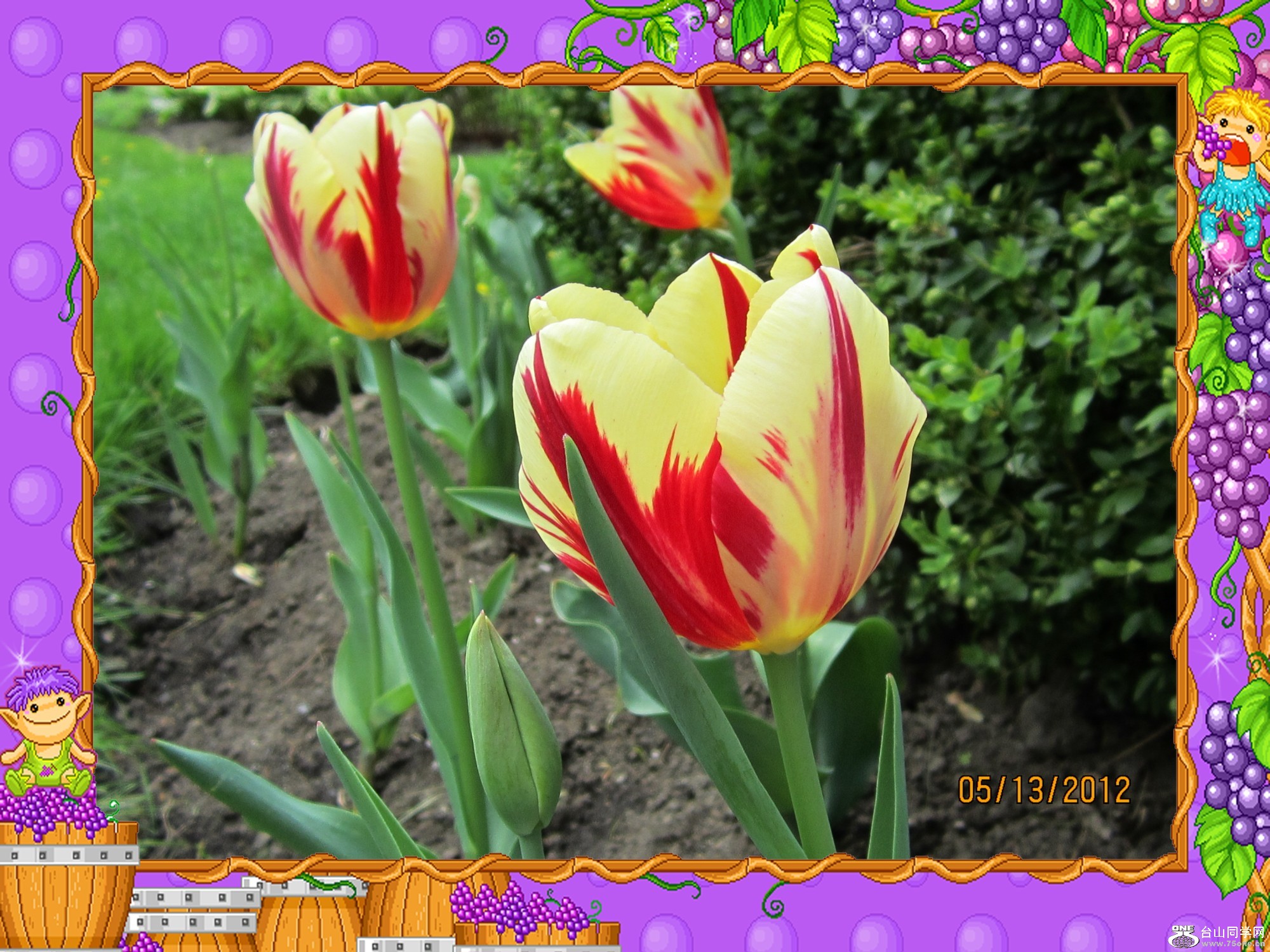 img_0355_conew1.jpg