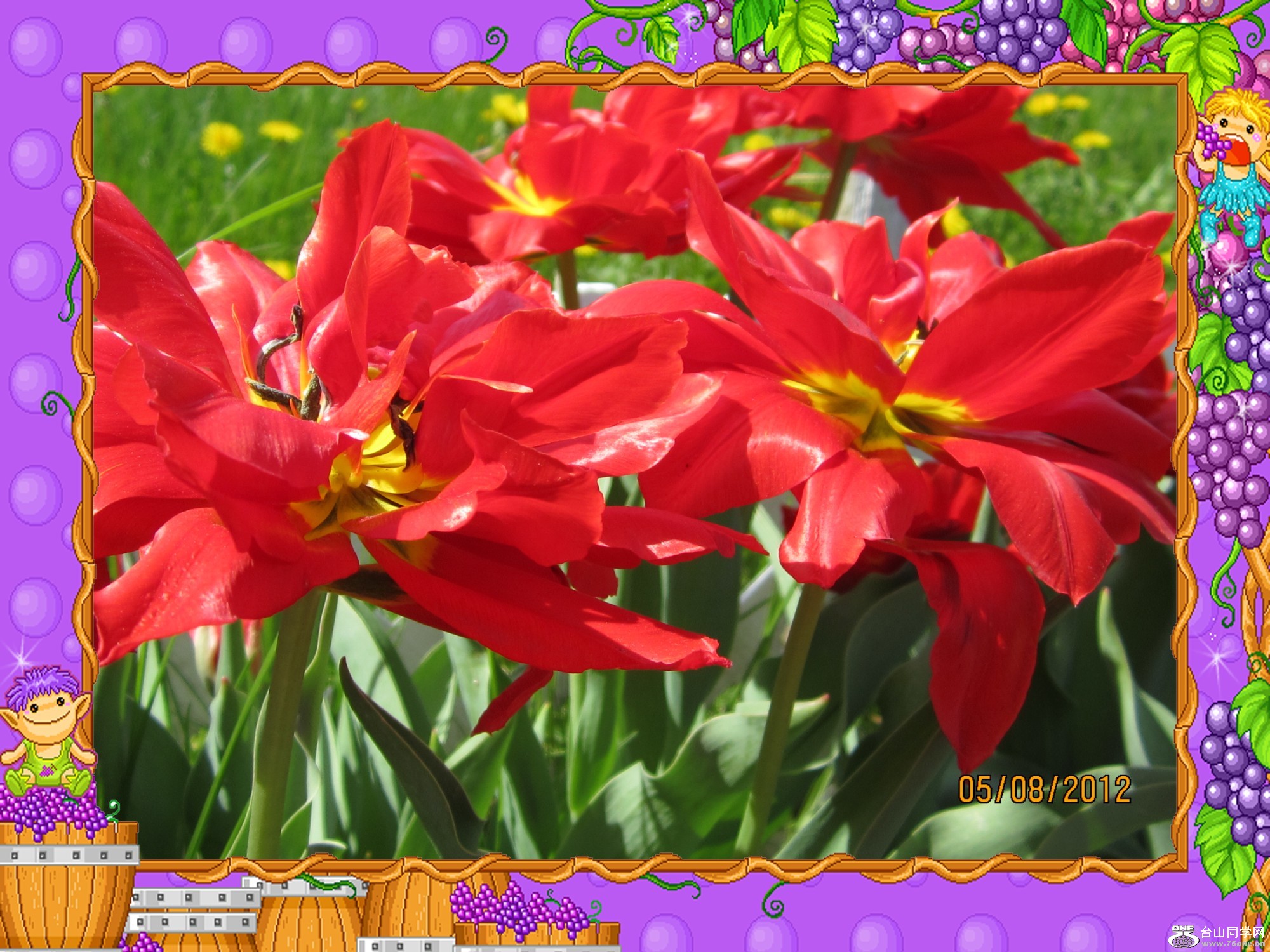 img_0336_conew1.jpg