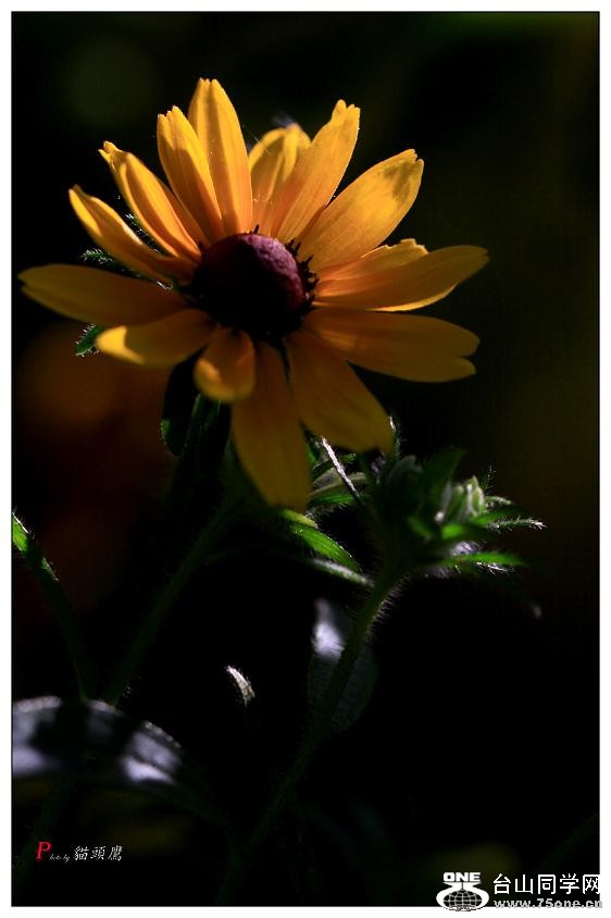 }u -ֻ߽-1 092-a.jpg