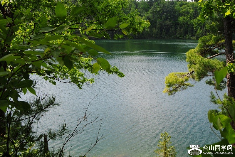 DSC_2449.JPG