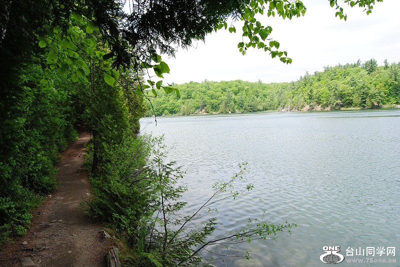 DSC_2514.JPG