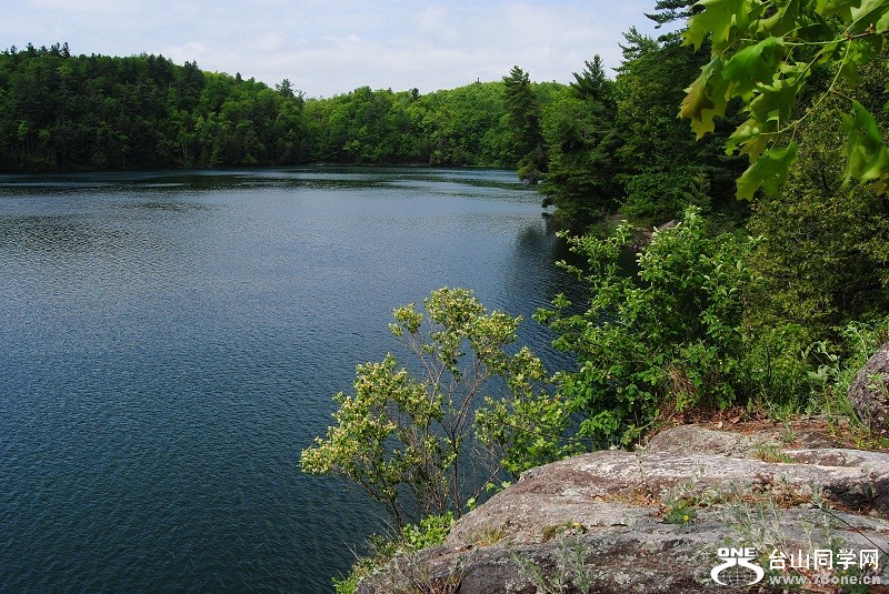 DSC_2462.JPG