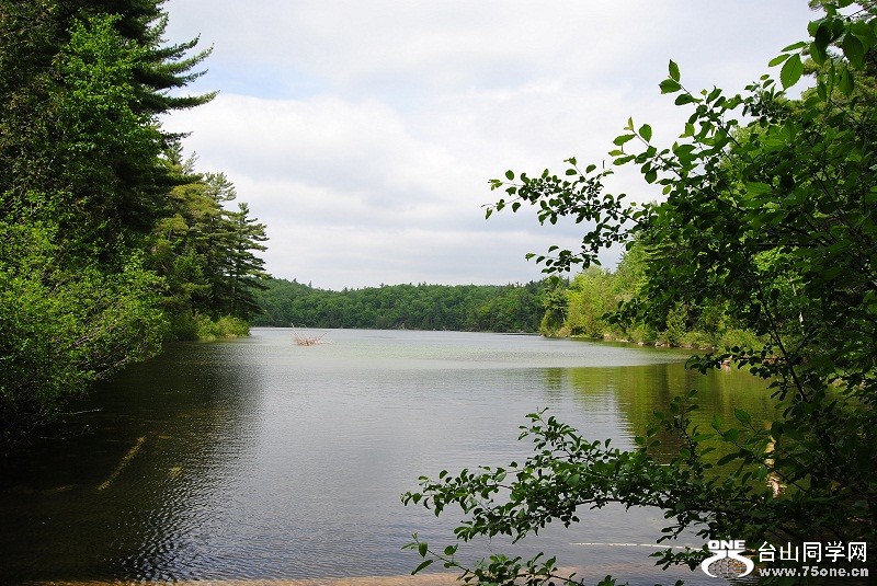 DSC_2484.JPG