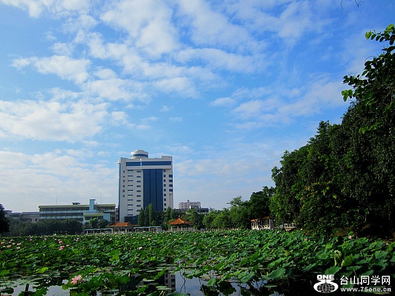 ���ġ��ɻ���ѧУ�����12.6.9 231_conew1.jpg