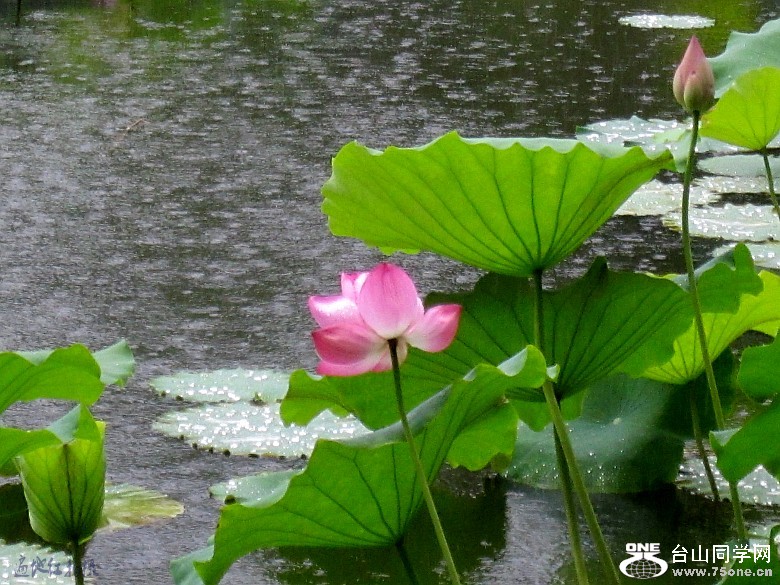 �������ɻ���ʯ᪡���ʨ 056_conew2.jpg