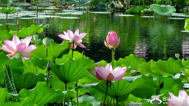 ���ġ��ɻ���ѧУ�����12.6.9 227_conew1.jpg