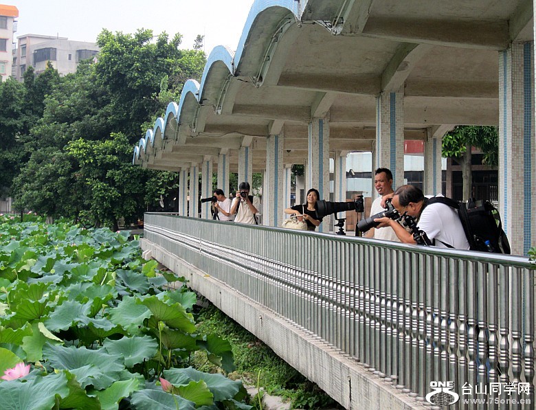 ���������� 151_conew1.jpg