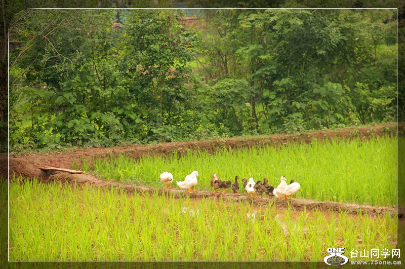 ��Ƭ 172_����.jpg