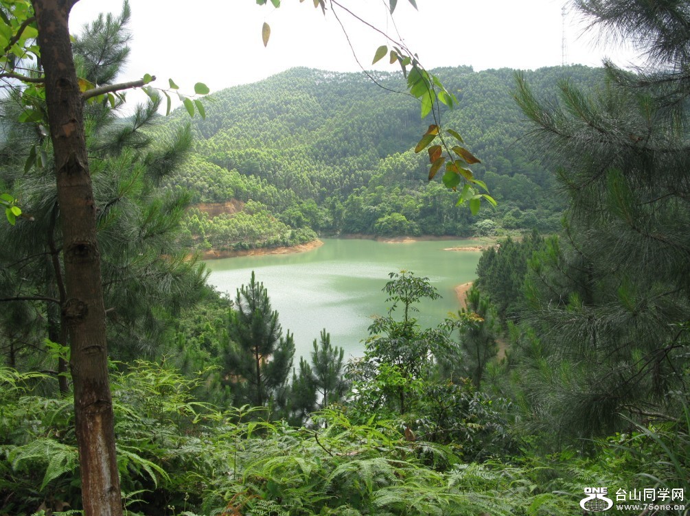 88.jpg