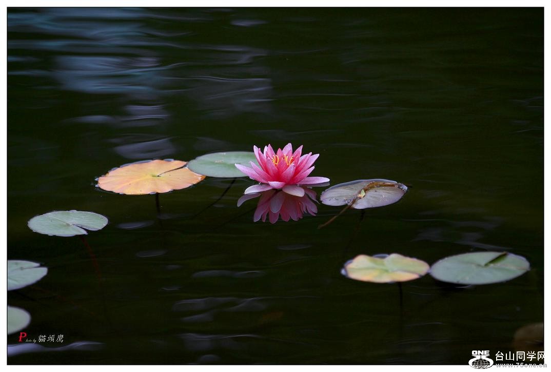 }u -ֻ߽-2 264-a.jpg