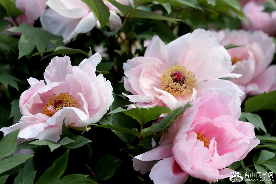 }u -ձ@12-6 112-a.jpg