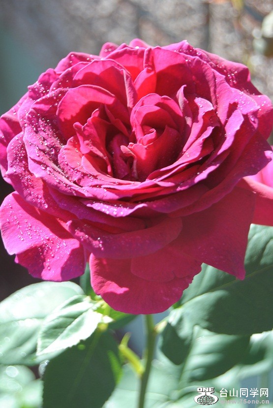 DSC_3039.JPG