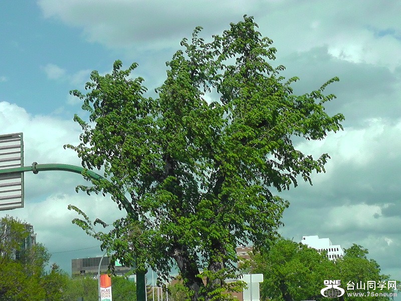 H1570165.JPG