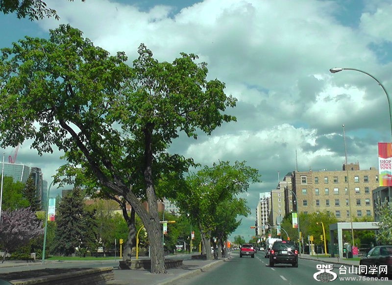 H1570166.JPG