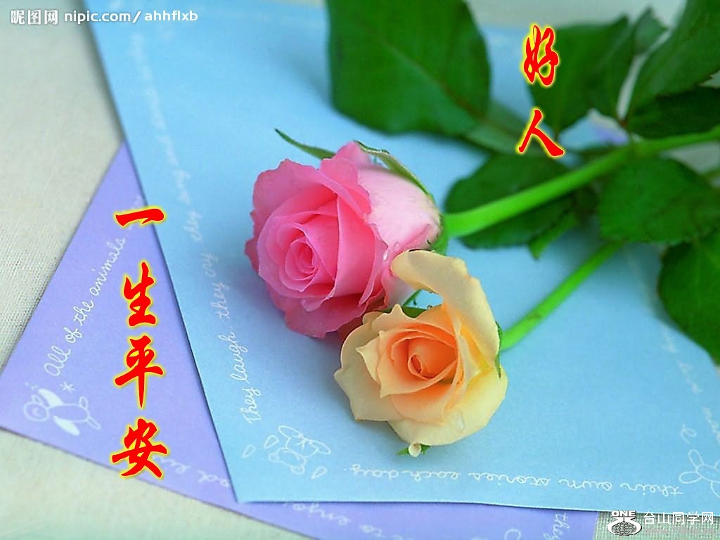 2008217134222836_2_conew1.jpg