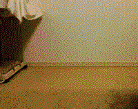 0.041.gif