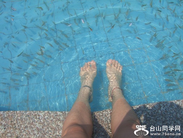 spa fish.jpeg
