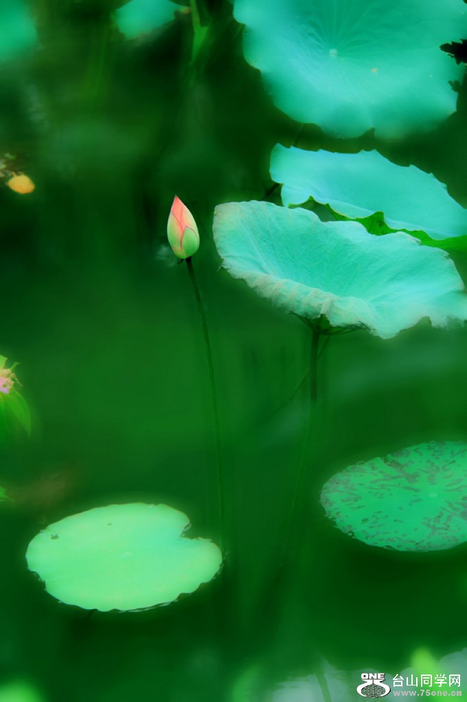 nEO_IMG_ 770.jpg