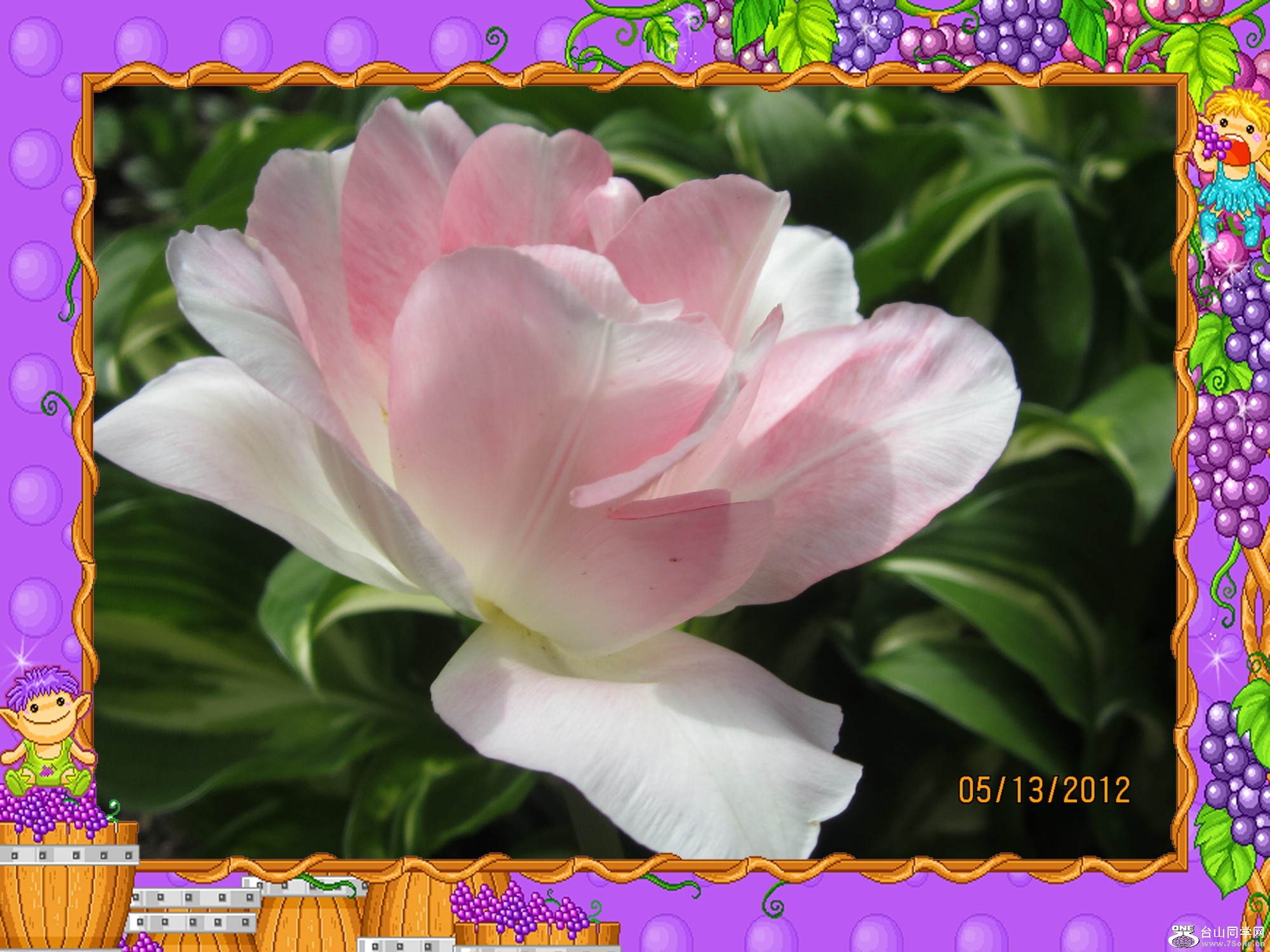 img_0366_conew1.jpg