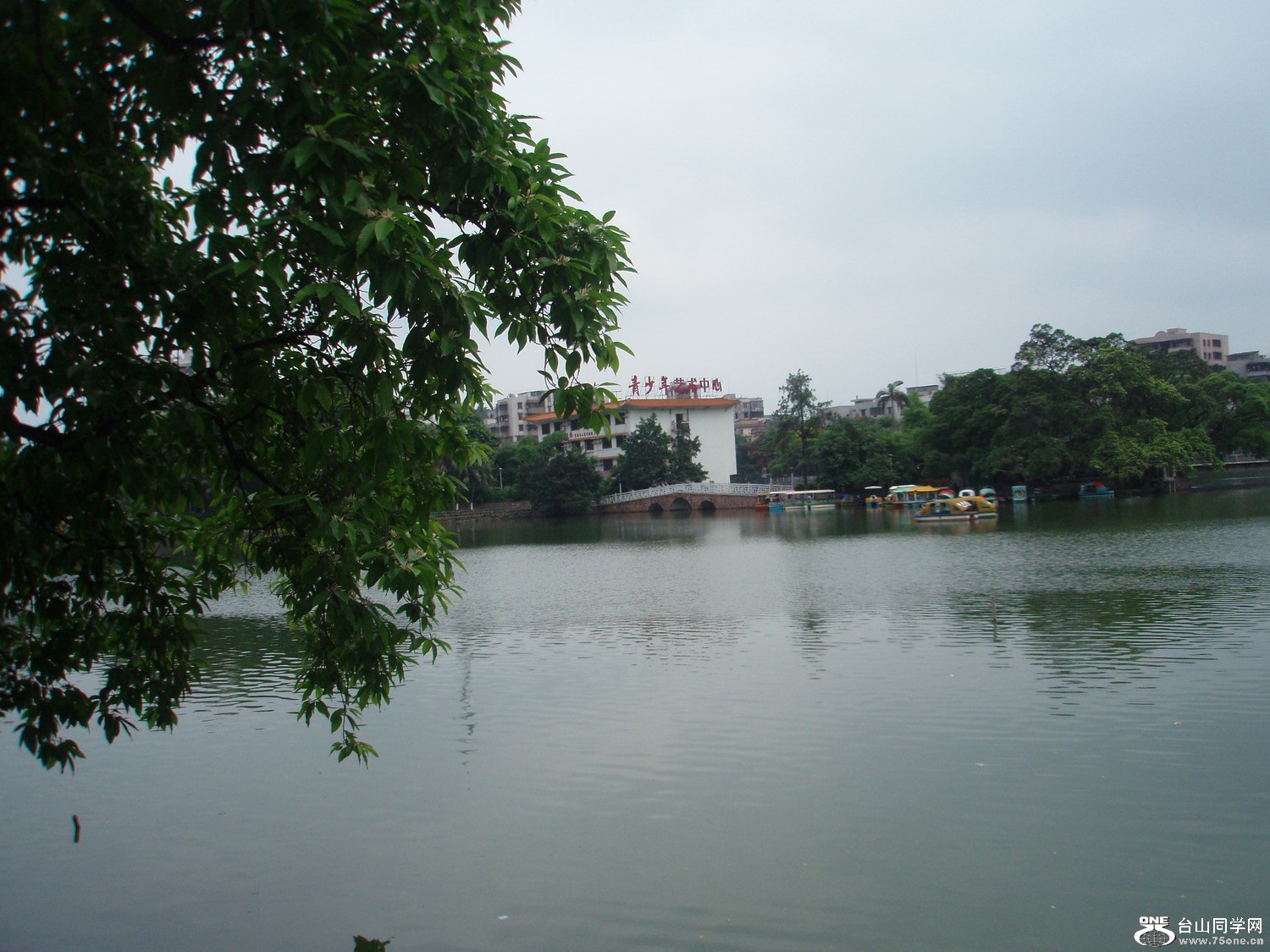 P5225449.JPG