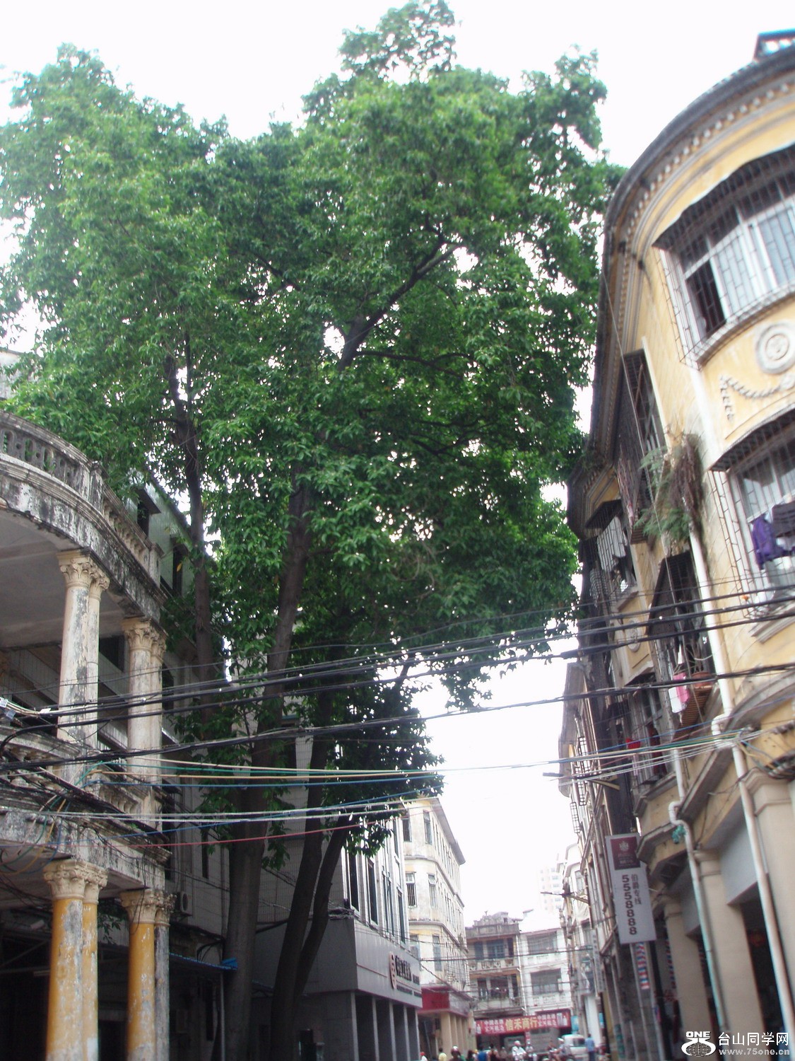 P5025420.JPG