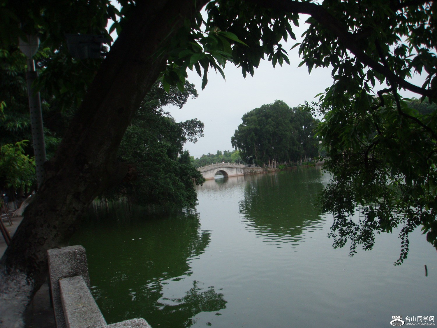 P5225450.JPG