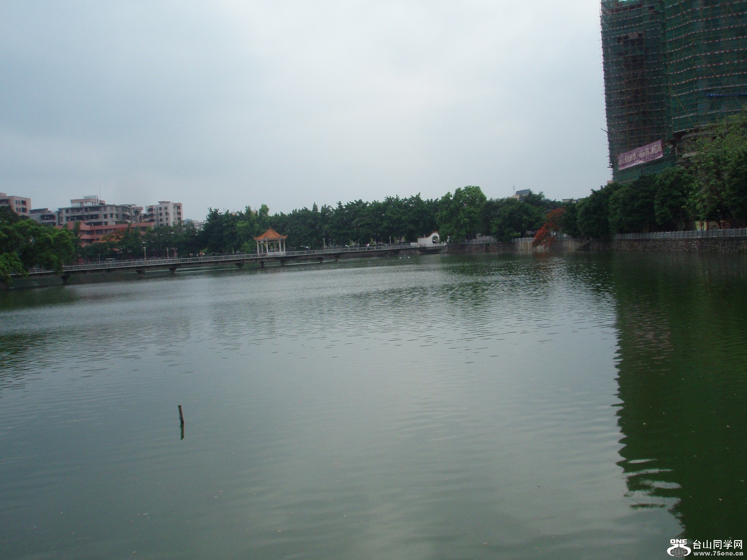 P5225448.JPG