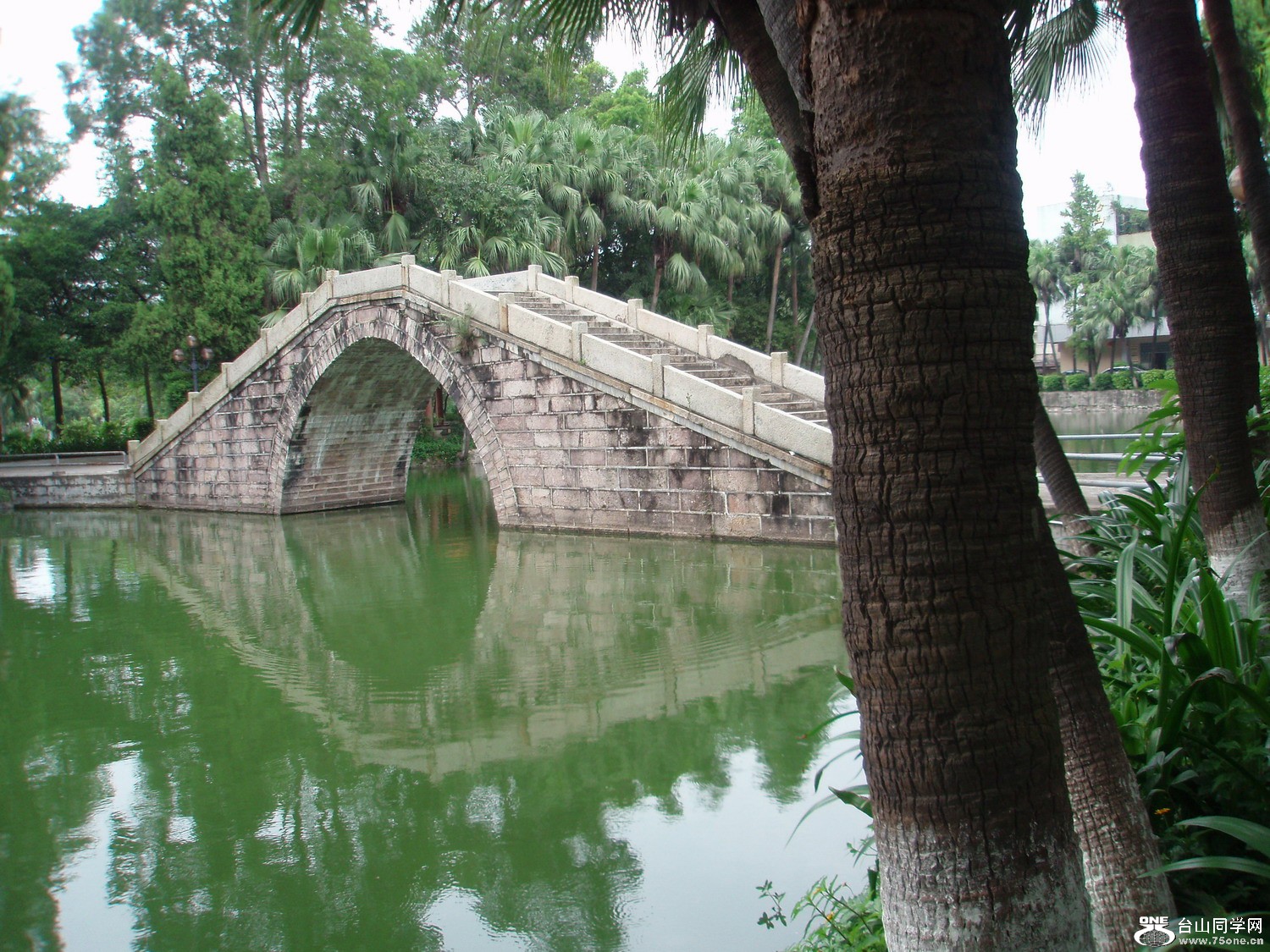 P5225458.JPG
