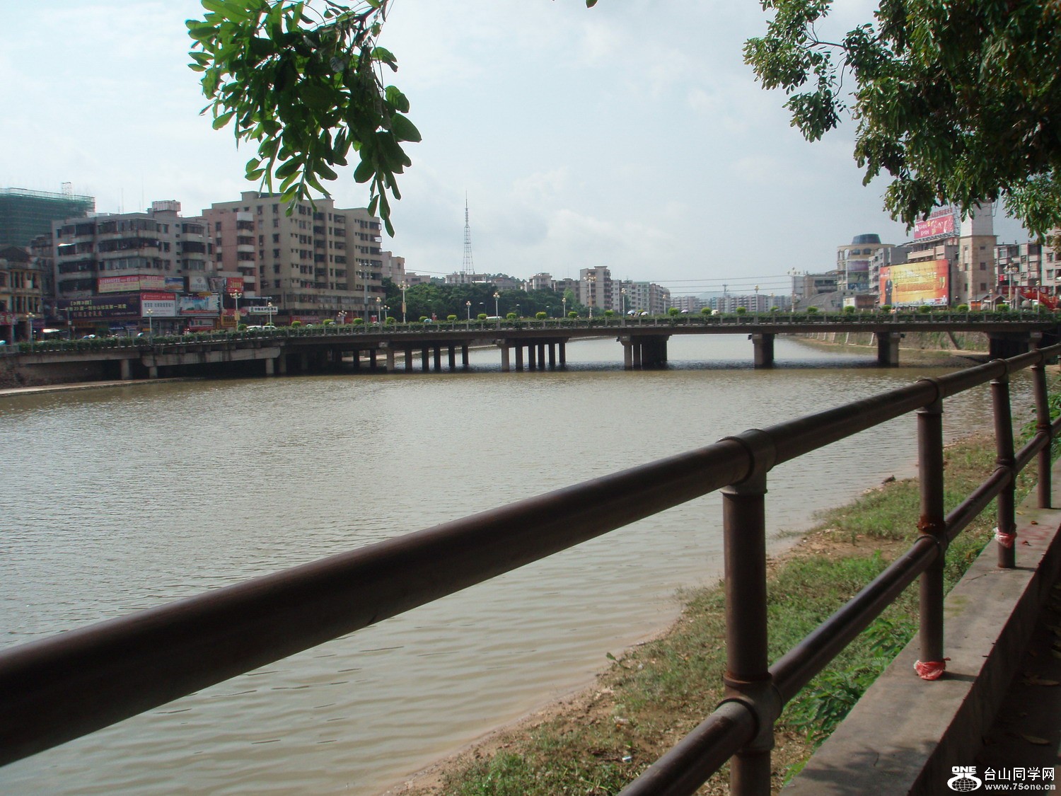 P5035432.JPG