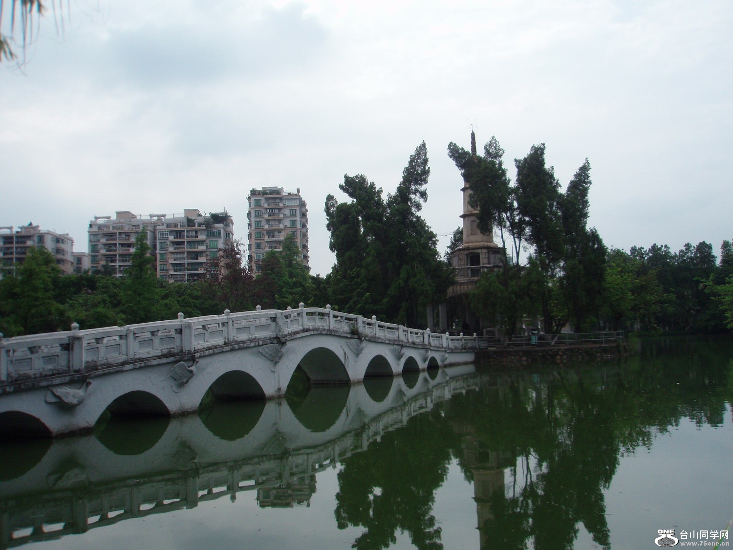 P5225456.JPG