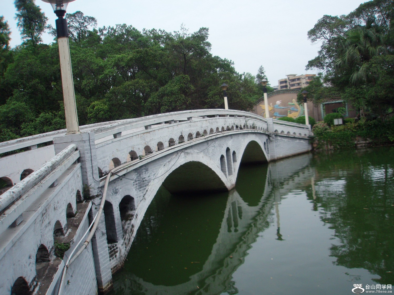 P5225455.JPG