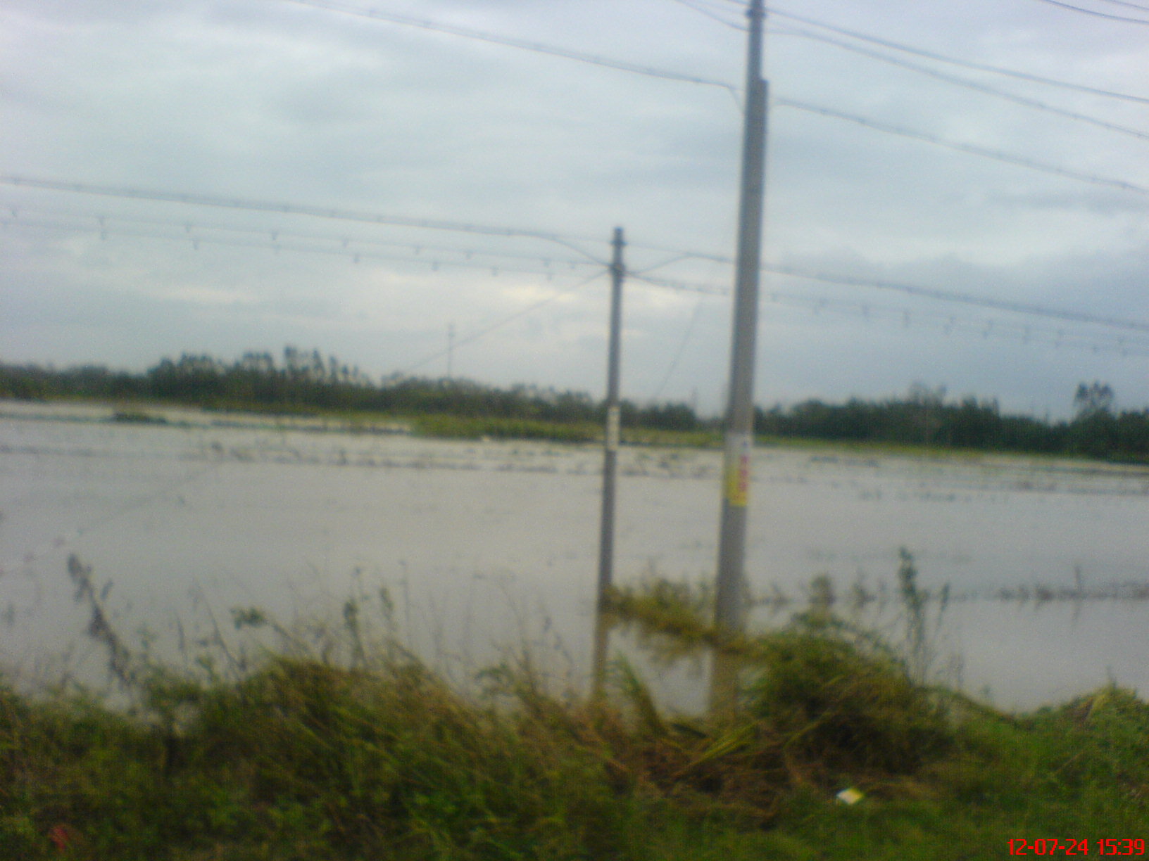 DSC00303.JPG