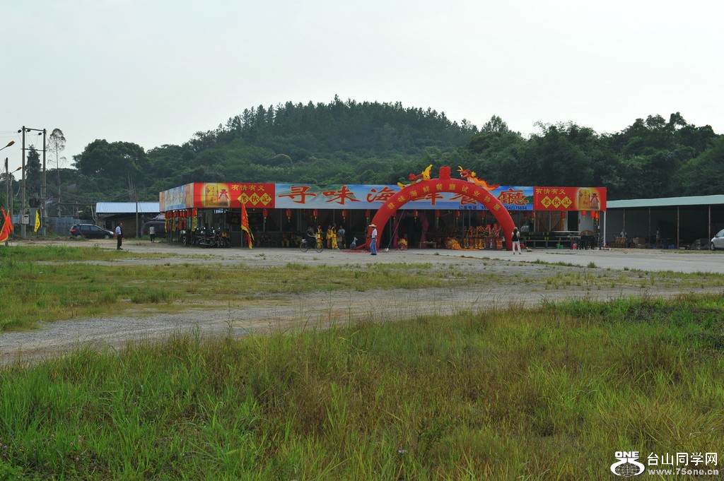 DSC_3555.JPG