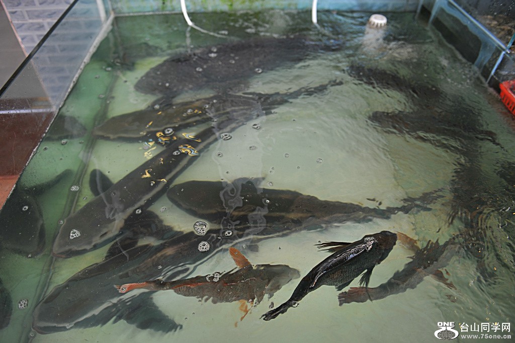 DSC_3584.JPG