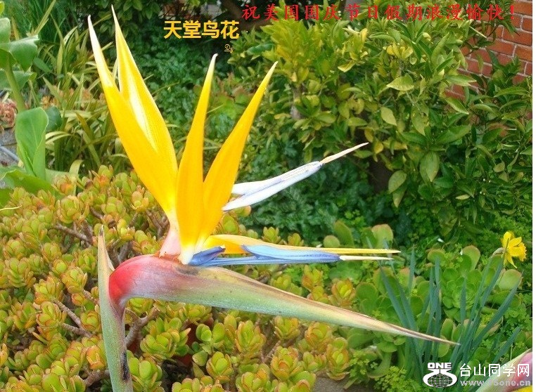DSC07116a-dz.jpg